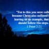 “The Church Under Persecution”  1 Peter 5:1-14